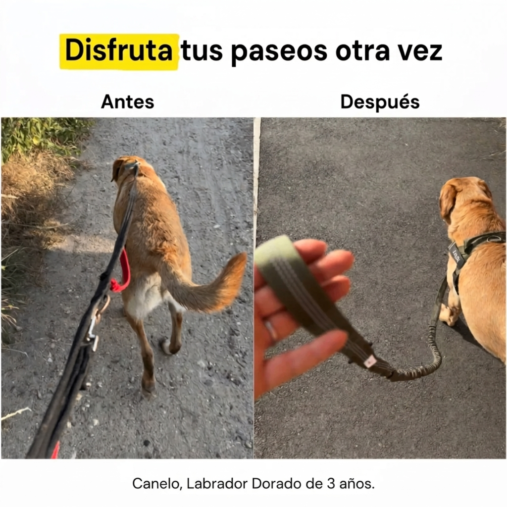 SafePaw TirónCero™