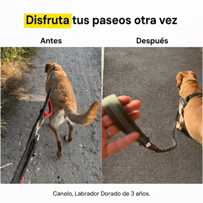 SafePaw TirónCero™